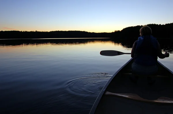 stock image Forest lake