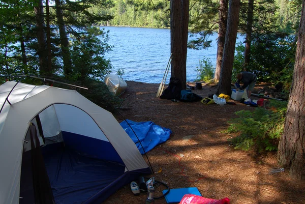 stock image Forest lake