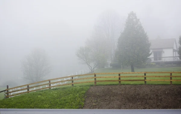 Forte nebbia — Foto Stock