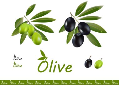 Oline branches clipart