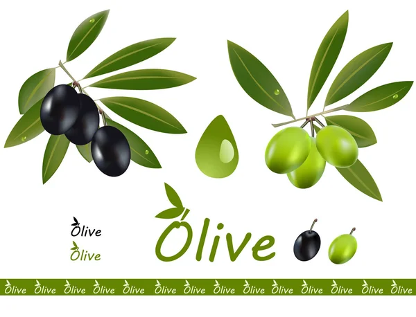 Ensemble d'olives — Image vectorielle