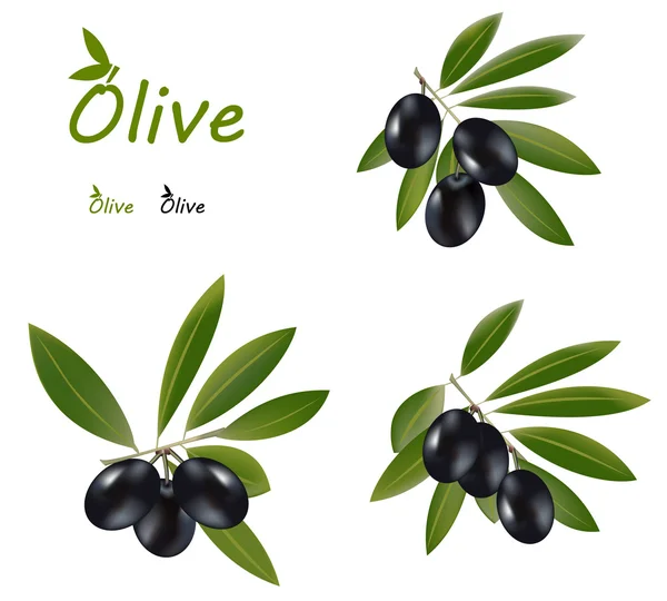 Olives foncées — Image vectorielle