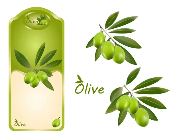 Vert olive — Image vectorielle