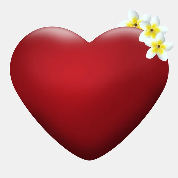 Heart width flowers — Stock Photo, Image