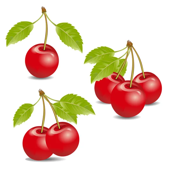 Uppsättning cherrys — Stock vektor