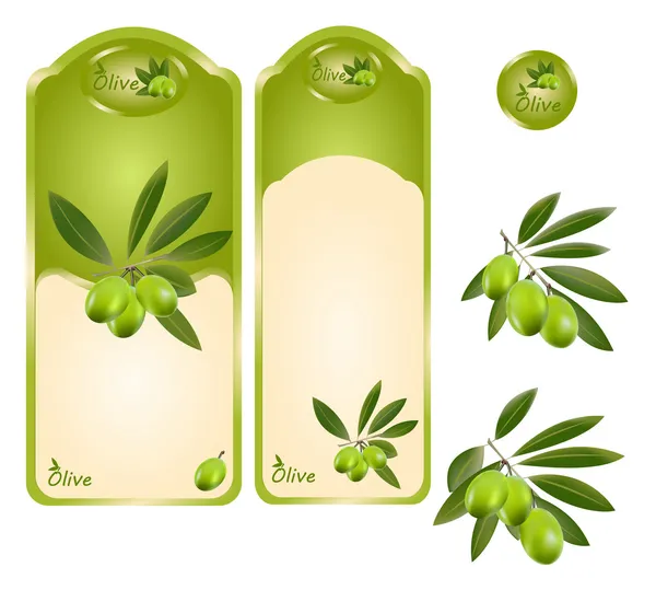 Olijf groen label — Stockvector