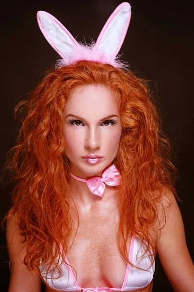Sexy králík — Stock fotografie