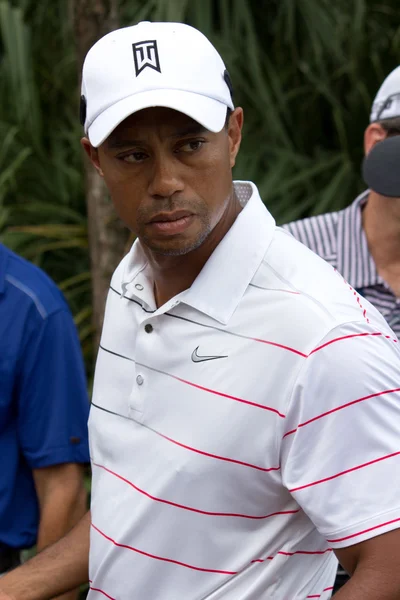 Tiger Woods — Stock Fotó