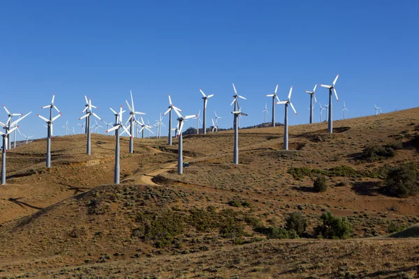 Muitas turbinas eólicas na colina — Fotografia de Stock