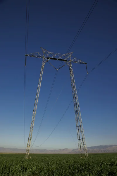 Single Power Line Tower in field — Stock Photo, Image