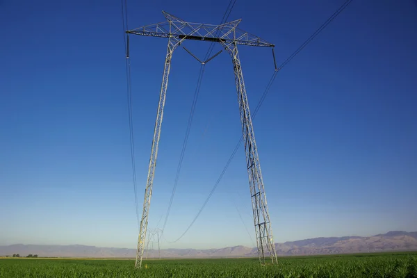オープン フィールドにおける送電線の鉄塔 — ストック写真