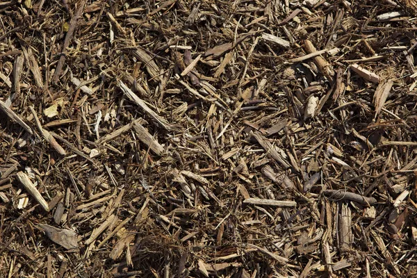 Close up of Mulch Background — Stock Photo, Image