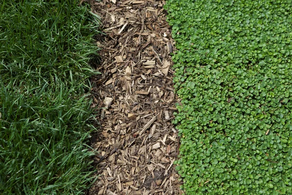 Gras mulch en klimop achtergrond — Stockfoto