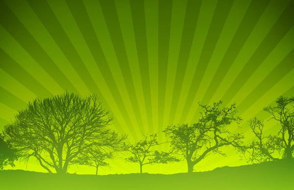 Stock image Green Sunset Light Rays Nature Background