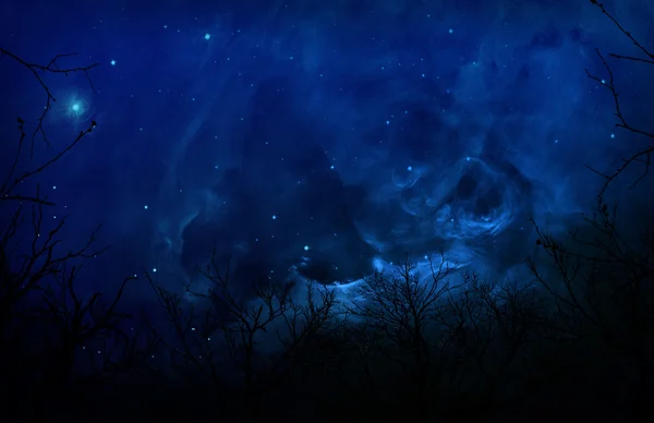 Mavi gece göğü ormanda ürkütücü siluet