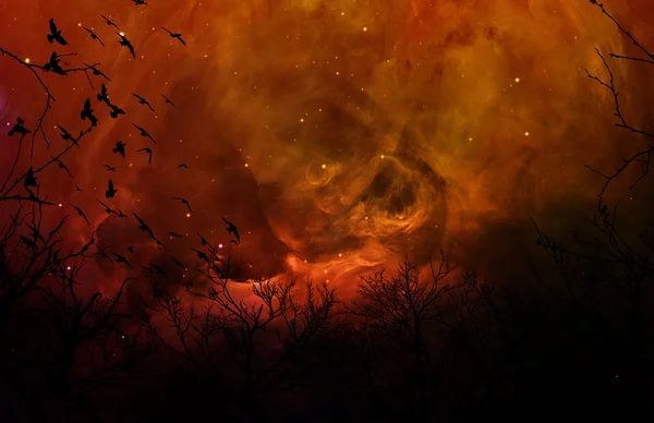 Floresta de silhueta misteriosa no céu noturno laranja — Fotografia de Stock