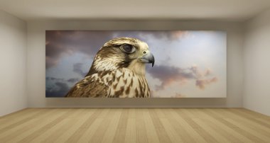 Empty room with falcon picture, 3d art concept, clean space clipart