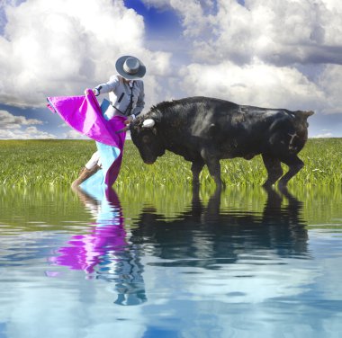 Spanish Bullfight with water reflection. Matador in Ring with Bu clipart