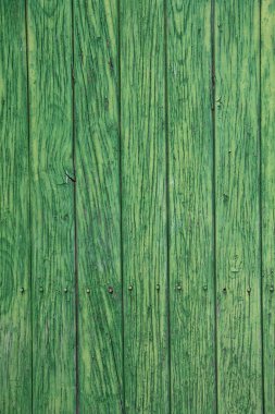 Green paint peeling from a wooden panel door. Aged texture clipart