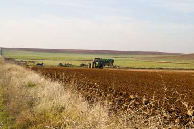 tarım alanı