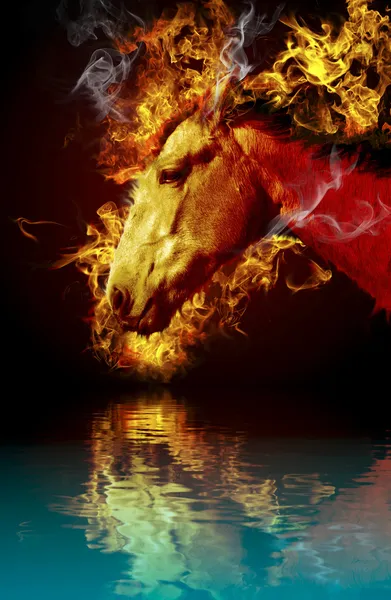 Hete paard, dier, brandende vuur weerspiegeld in de gerenderde water — Stockfoto