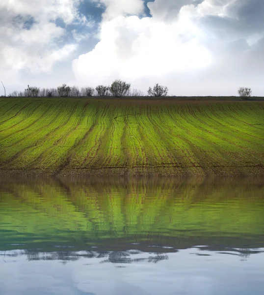 Campo agrícola, naturaleza verde con efecto reflejo del agua — Foto de Stock