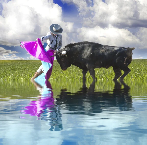Spanish Bullfight with water reflection. Matador in Ring with Bu — Stock Photo, Image