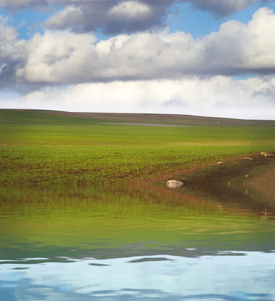 Zelená příroda, španělský zemědělství pole s vodou reflexe — Stock fotografie