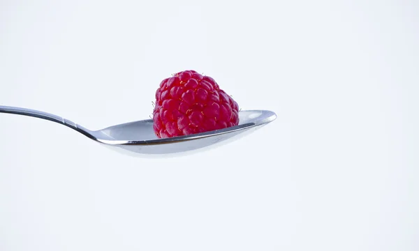 Kost, blackberry bita i en sked — Stockfoto