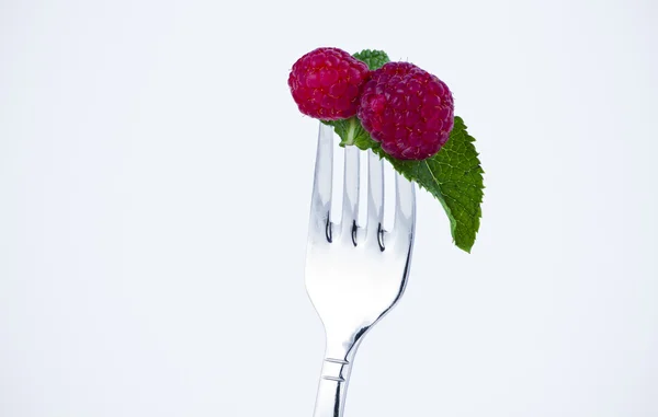 Dieta, puntura di mirtilli in una forchetta — Foto Stock