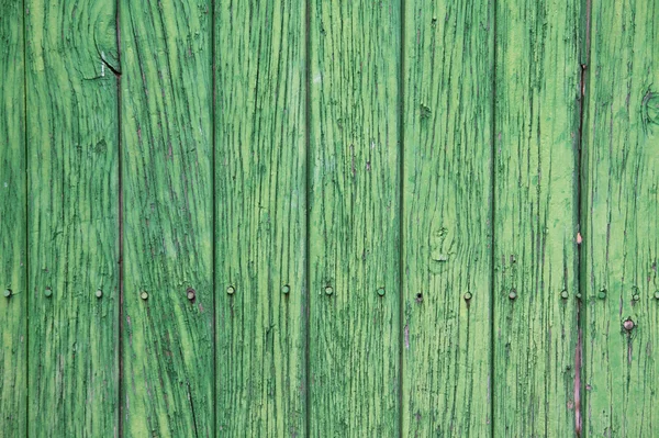 Zielone panele drewniane. starożytne drzwi — Zdjęcie stockowe