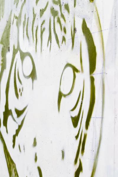Tiger graffiti on a white wall — Stock Photo, Image