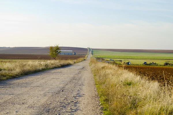 농사 밭 — 스톡 사진