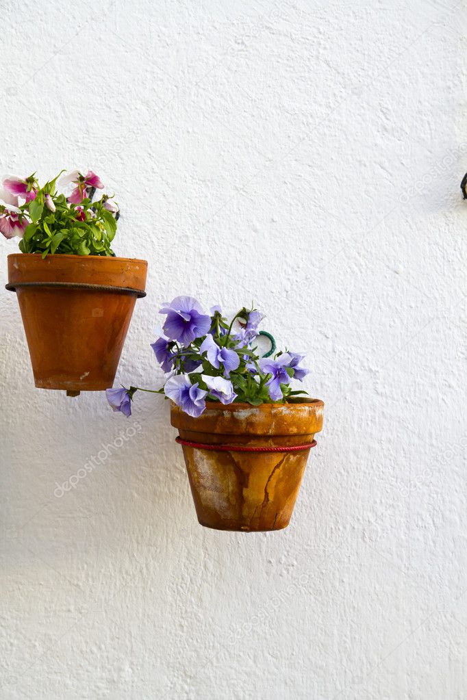 spanische Wand mit schönen Pflanzen. andalusische Blumentopf ... spanische Wand mit schönen Pflanzen. andalusische Blumentopf ...