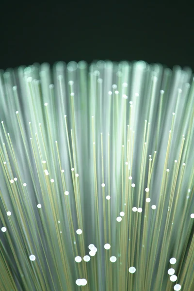 Fiber optics close-up, modern computer communication technology — Stock Photo, Image