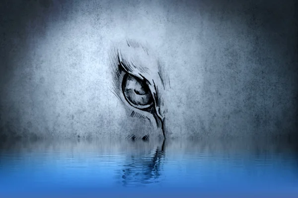 Татуировка глаза животного на голубой стене с отражением воды — стоковое фото