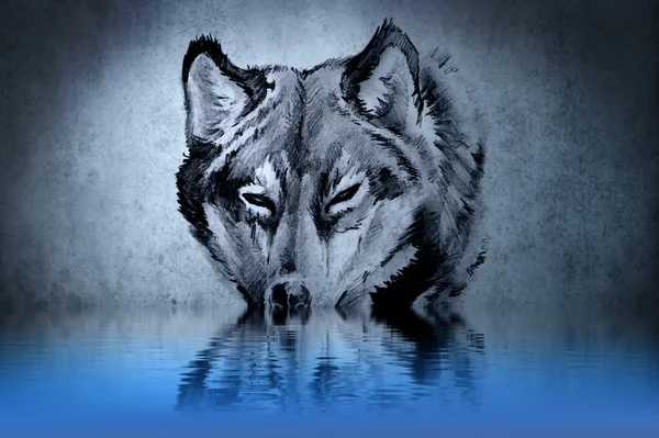 纹身的狼头与水的思考 — 图库照片