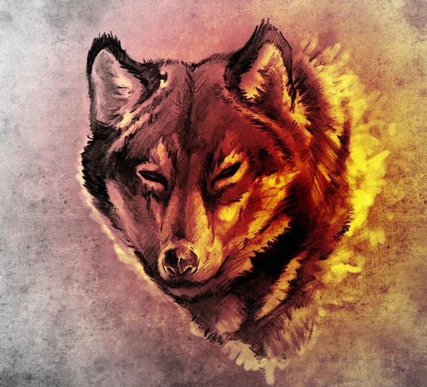 草绘的图的狼头纹身艺术 — 图库照片