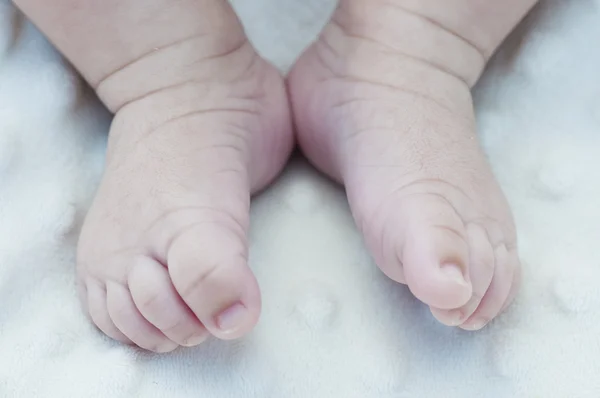 Detalle de los pies recién nacidos en una manta blanca suave —  Fotos de Stock