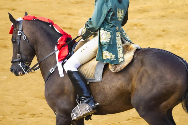Bullfight a cavalo. tourada típica espanhola . — Fotografia de Stock