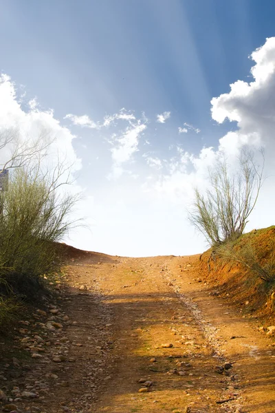 stock image Country road