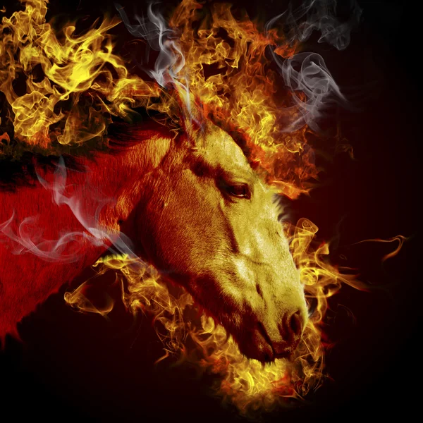 Горячая лошадь, горящее животное, огонь — стоковое фото