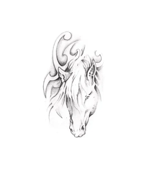Schizzo di arte del tatuaggio, cavallo — Foto Stock
