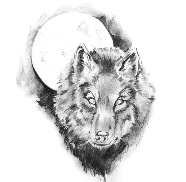 Desenho da arte da tatuagem, lobo — Fotografia de Stock
