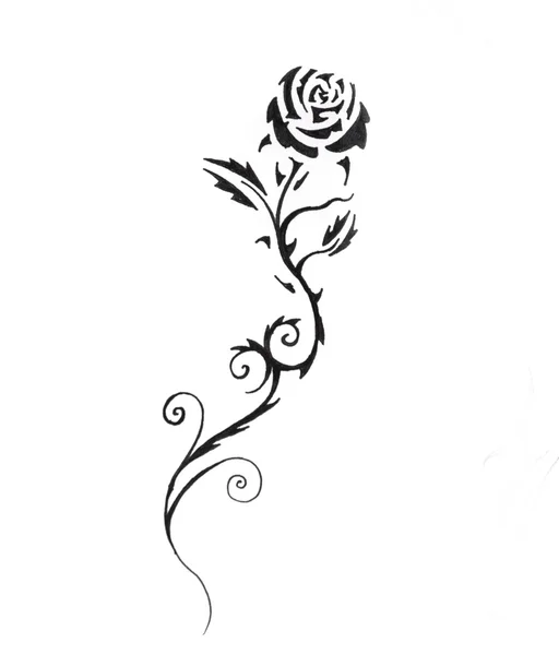 Sketch of tattoo art, black rose — Stock Image #8684489