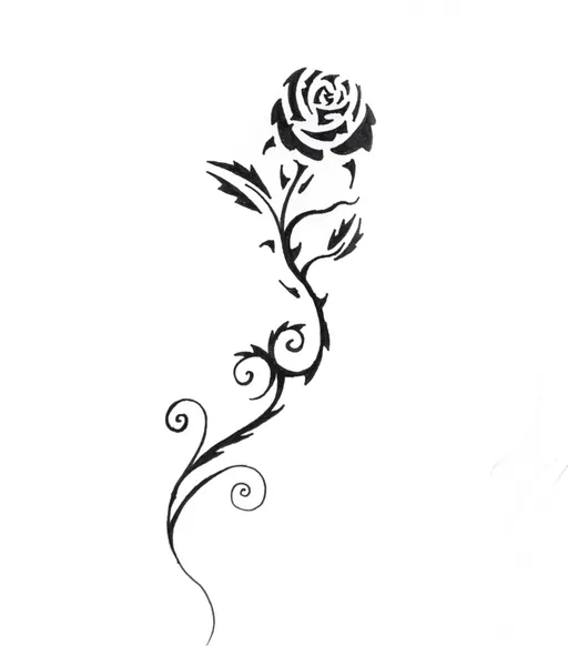 草绘的纹身艺术，黑玫瑰 — 图库照片