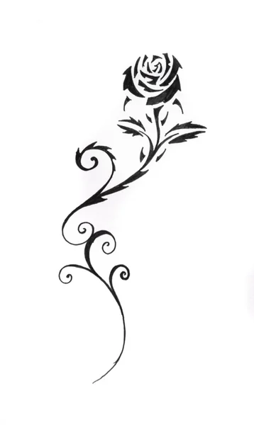 草绘的纹身艺术，黑玫瑰 — 图库照片