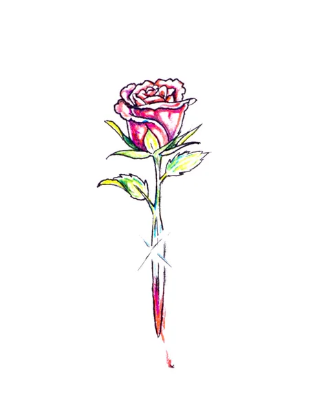 草绘的纹身艺术，玫瑰和剑 — 图库照片