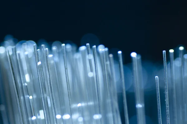 stock image Optical fiber