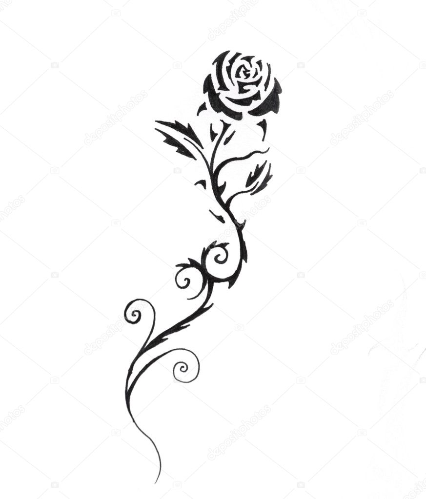Sketch of tattoo art, black rose